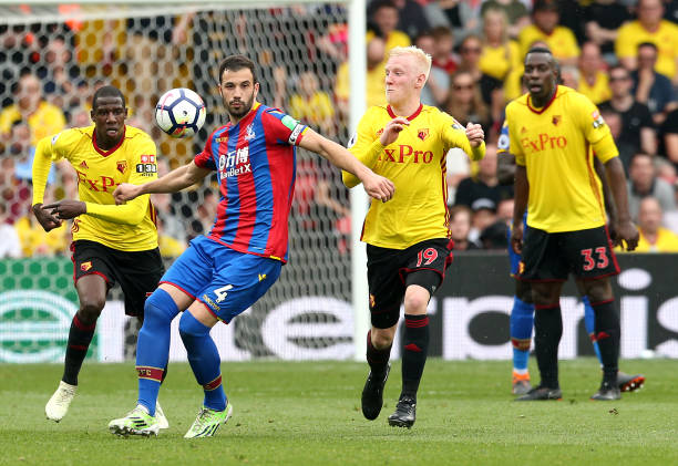 在整个彩市 在整个彩市