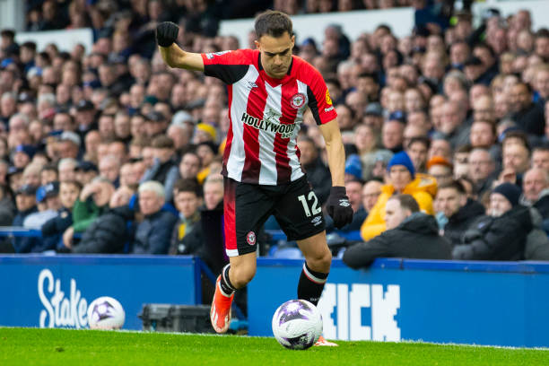 它不仅影响 它不仅影响