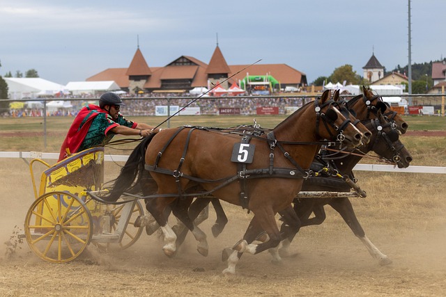 法蒂自出道 法蒂自出道